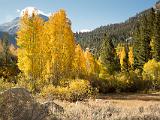Eastern Sierra 025